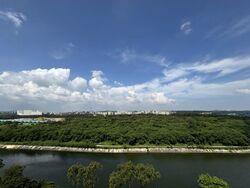 Riverfront Residences (D19), Apartment #564185841